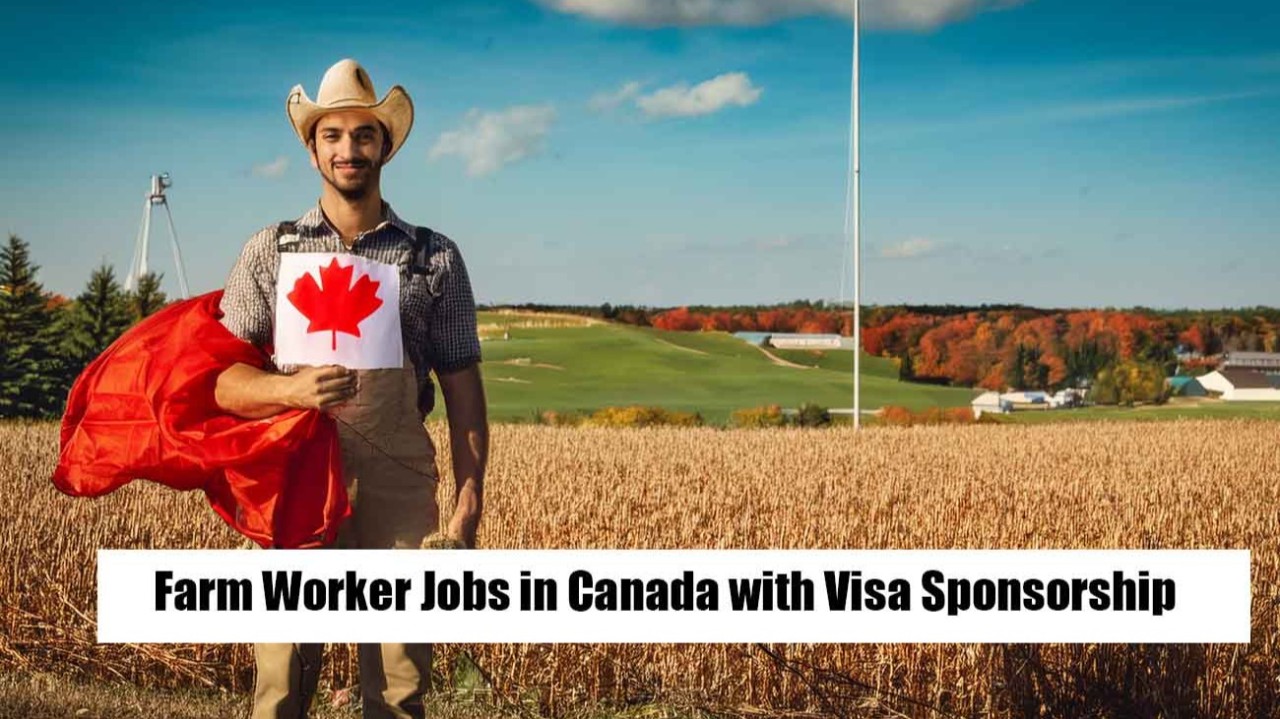 Canada Farm Jobs 2025 with Free Work Visa | Average Salary $28,000–$42,000/Year