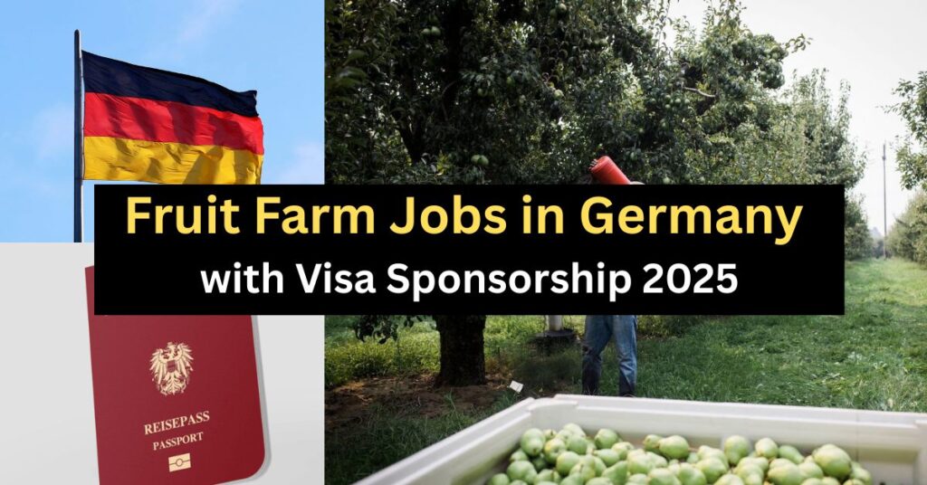 Fruit Farm Jobs in Germany