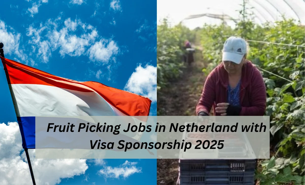 Fruit Picking Jobs in Netherlands