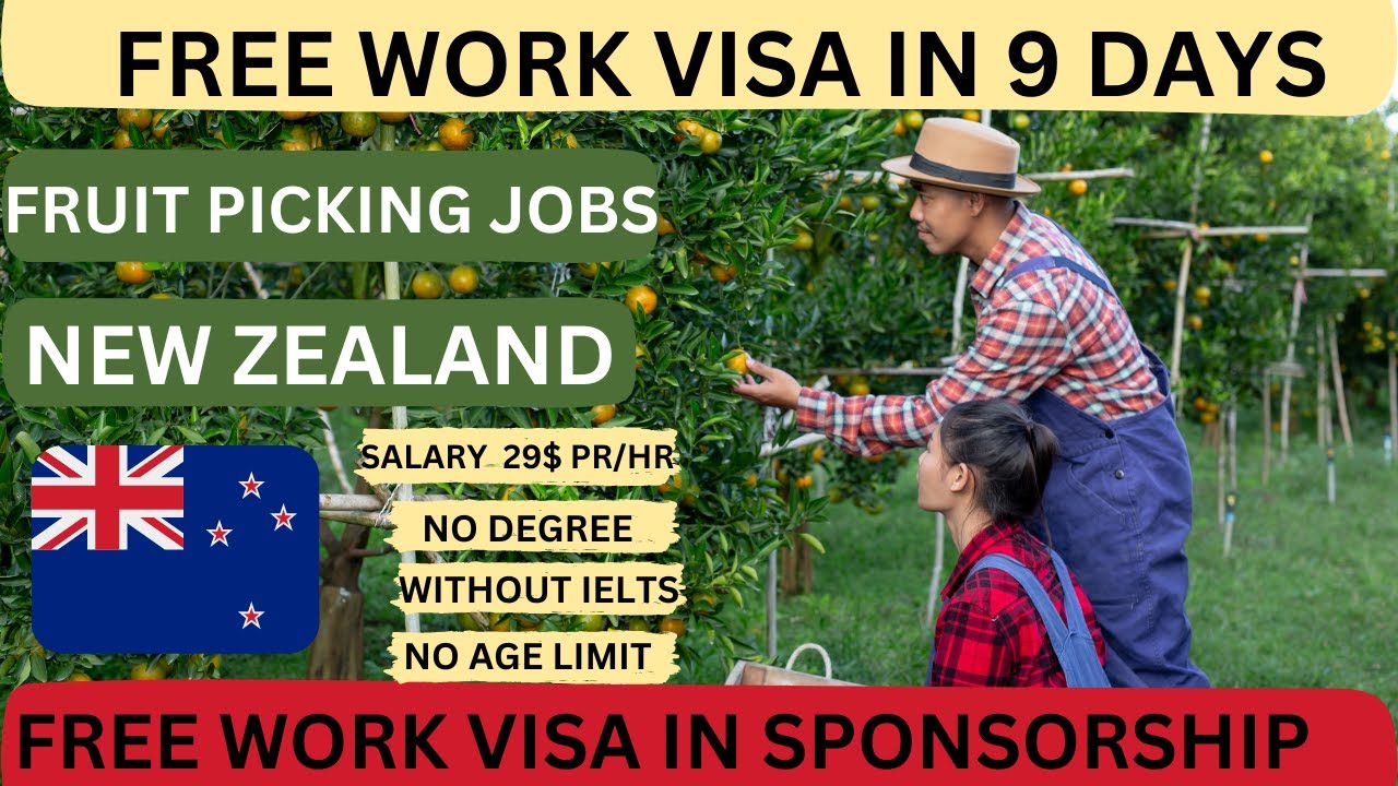 Fruit Picking & Packing Jobs in New Zealand 2025 with Visa Sponsorship | Earn NZD $23–$27 Per Hour