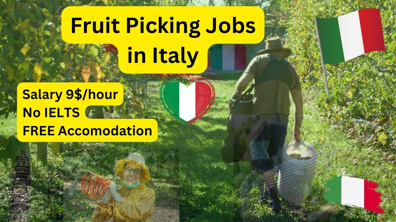 Fruit Picking and Packing Jobs in Italy